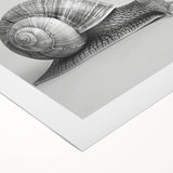 Rolled canvas featuring a vibrant snail design from a wildlife collection, showcasing intricate details and rich colors, ideal for nature-inspired decor.