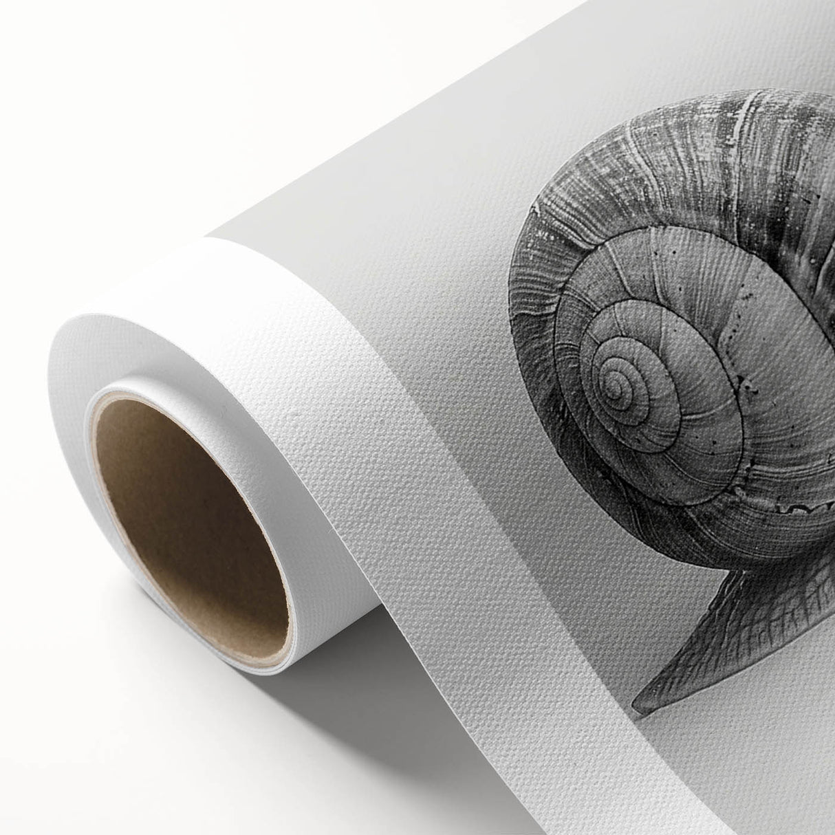 Colorful snail design wall art on rolled canvas, showcasing vibrant patterns and textures, perfect for animal lovers seeking unique home décor.