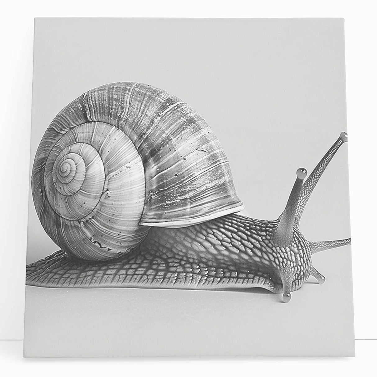 Colorful snail-themed wall art design on stretched canvas, showcasing intricate details and vibrant hues, perfect for adding a whimsical touch to home decor.