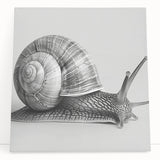 Colorful snail-themed wall art design on stretched canvas, showcasing intricate details and vibrant hues, perfect for adding a whimsical touch to home decor.