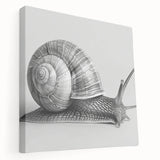 Stretched canvas wall art featuring a whimsical snail design in vibrant colors, showcasing intricate details and a playful aesthetic, perfect for home decor.