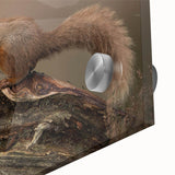 Close-up of a vibrant squirrel wall art piece, showcasing intricate details on acrylic glass with colorful hues, perfect for wildlife enthusiasts' decor.