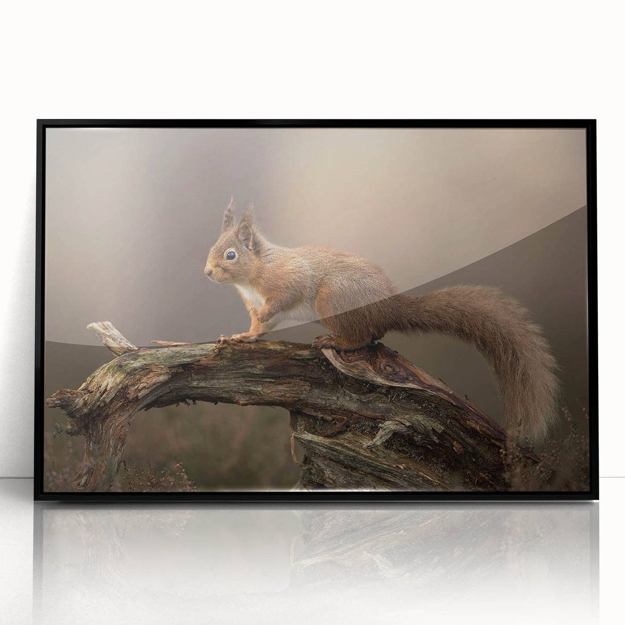 Framed wall art featuring a vibrant squirrel design in a black acrylic frame, showcasing intricate details and colors, perfect for animal lovers and home decor enthusiasts.