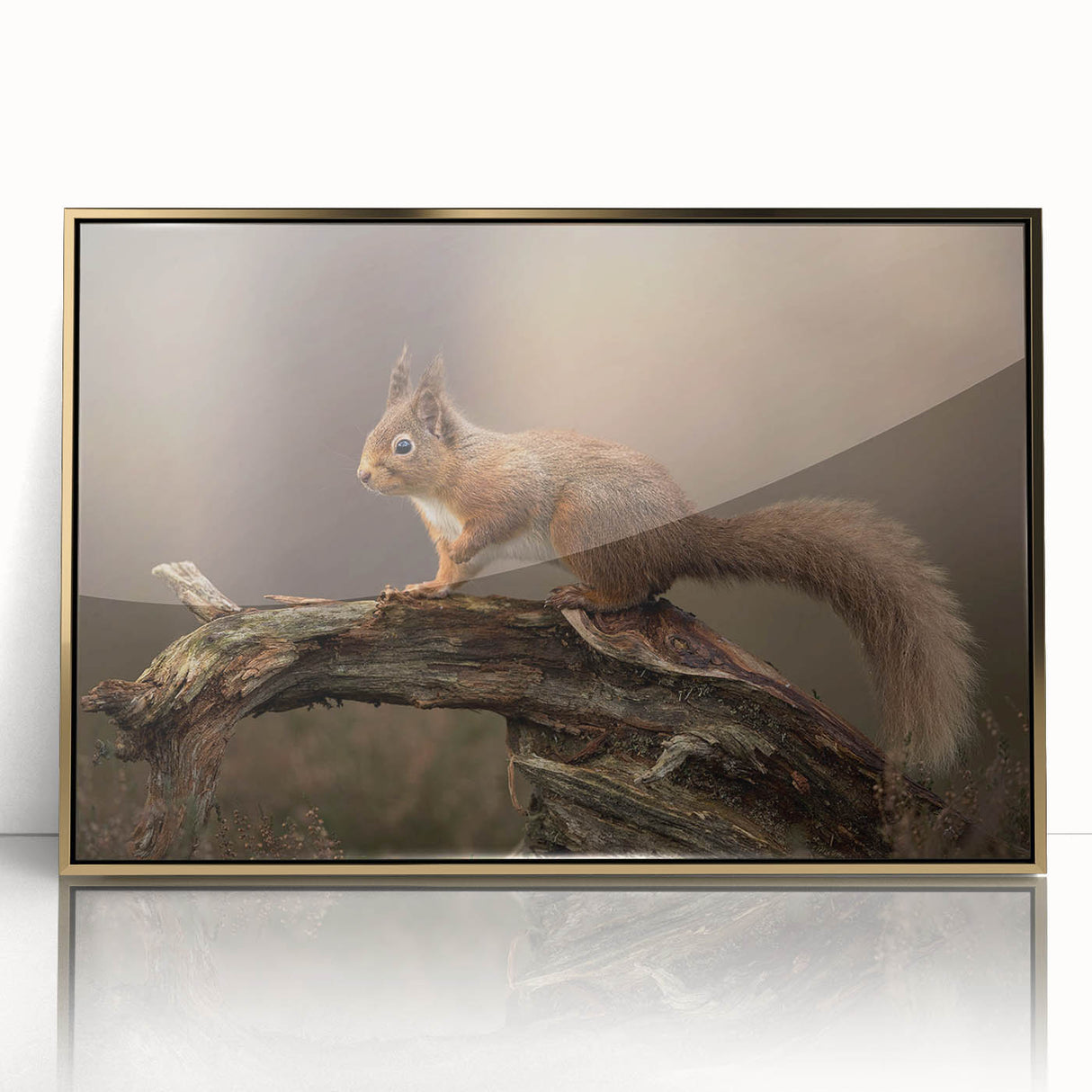 Framed wall art showcasing a vibrant squirrel design, featuring a gold-acrylic front and intricate details, perfect for nature-themed decor in homes or offices.