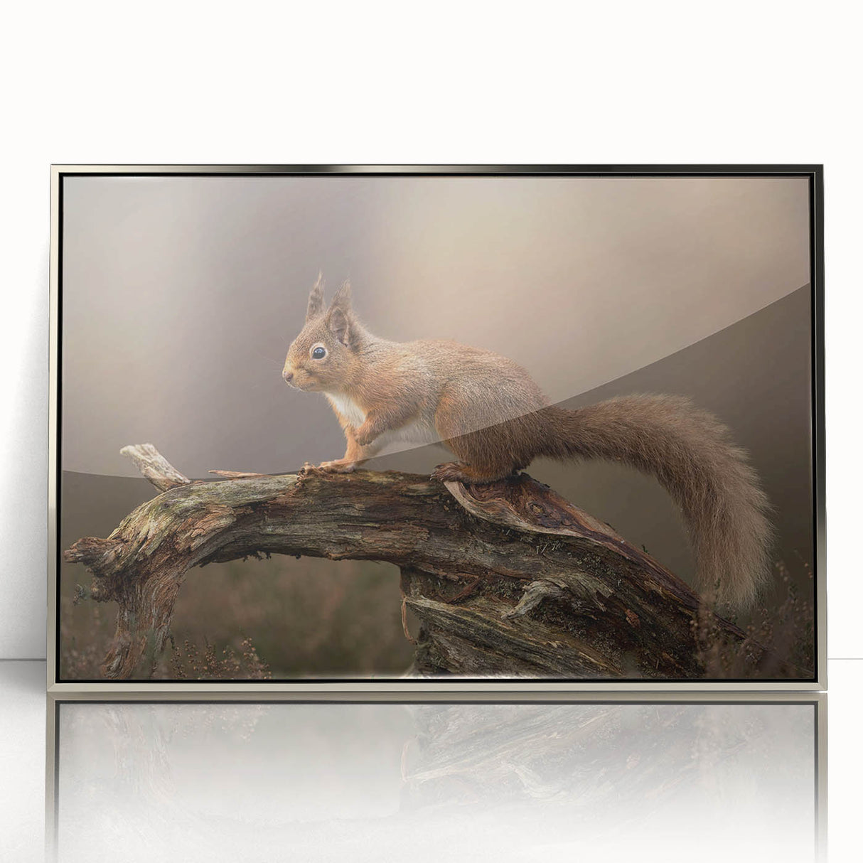 Framed wall art featuring a detailed squirrel design in a silver acrylic frame, showcasing vibrant colors and intricate patterns, perfect for animal lovers and home decor enthusiasts.