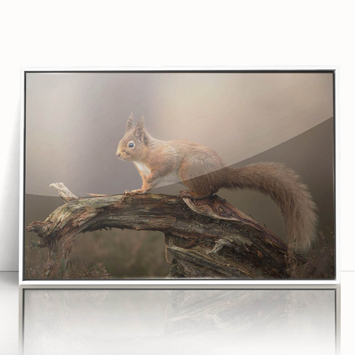 Framed acrylic wall art showcasing a playful squirrel design against a white background, perfect for animal lovers and nature-inspired decor in any home setting.