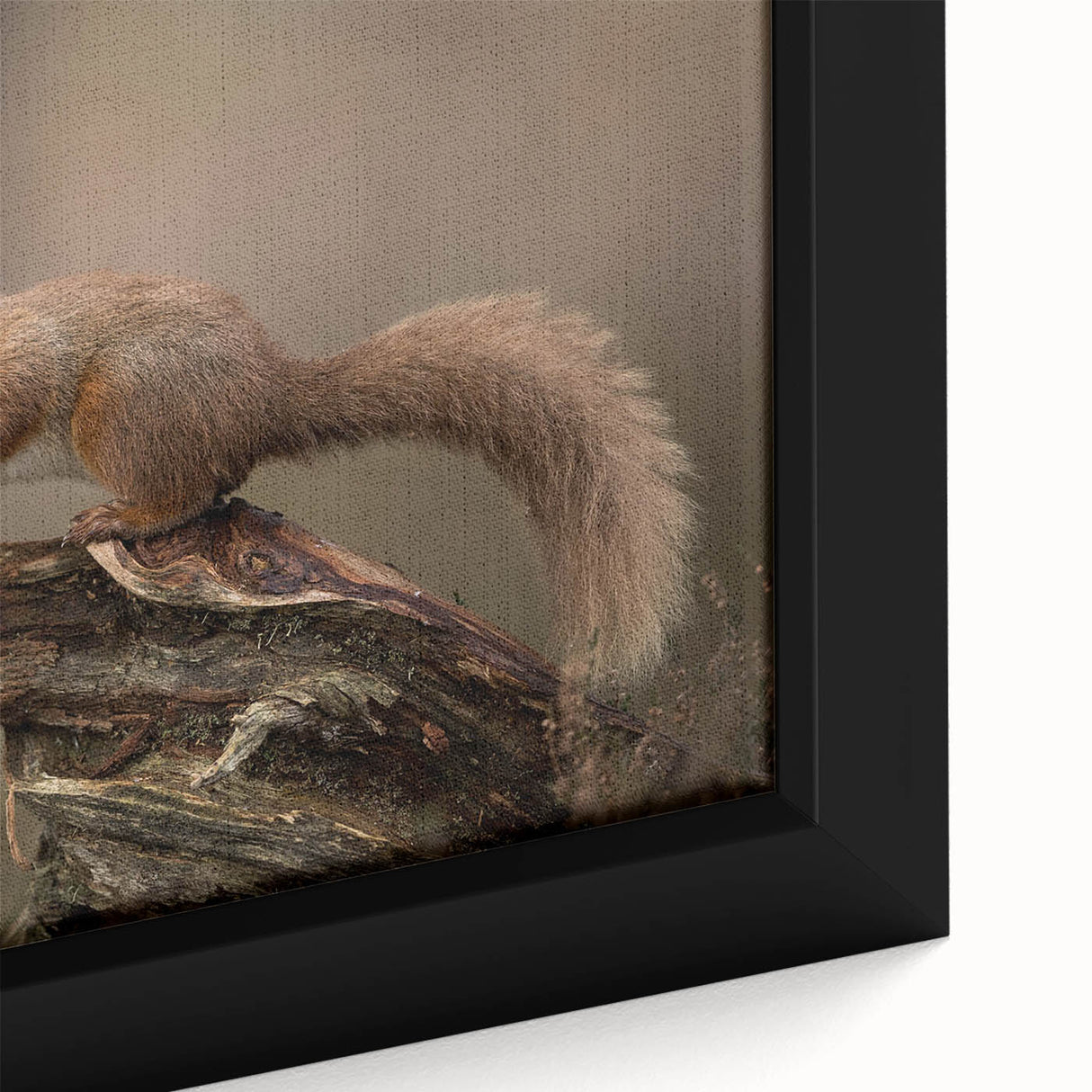 Close-up of a framed wall art canvas featuring a vibrant squirrel design, showcasing intricate details and textures, perfect for animal lovers and nature decor enthusiasts.