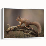Framed wall art showcasing a detailed squirrel design in a vibrant color palette, displayed from a side view against a white background, perfect for animal lovers.