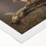 Rolled canvas wall art showcasing a whimsical squirrel design, featuring vibrant colors and intricate details, perfect for nature lovers and home decor enthusiasts.
