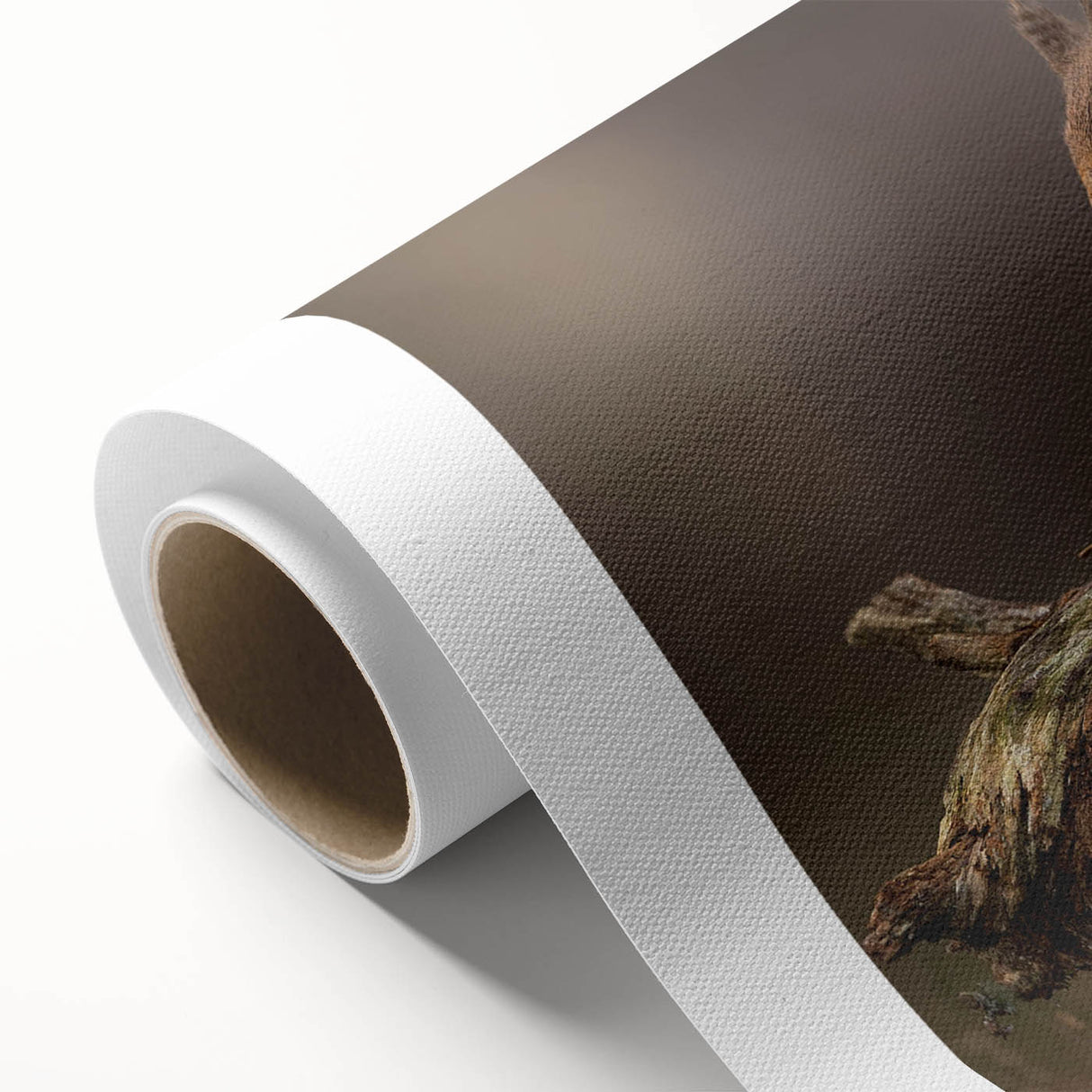 Squirrel-themed rolled canvas wall art showcasing a whimsical design with vibrant colors and intricate details, perfect for animal lovers and home decor.