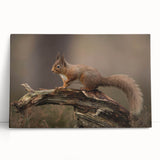 Squirrel-themed wall art design on stretched canvas, showcasing vibrant colors and detailed textures, perfect for enhancing home decor with a touch of wildlife charm.