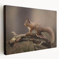 Squirrel-themed stretched canvas wall art showcasing vibrant colors and intricate details, perfect for nature lovers and home decor enthusiasts, side view.