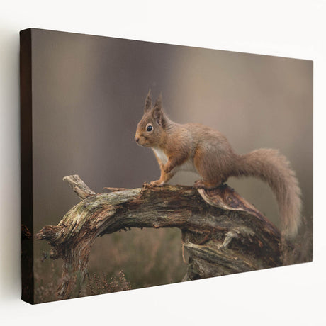 Squirrel-themed stretched canvas wall art showcasing vibrant colors and intricate details, perfect for nature lovers and home decor enthusiasts, side view.