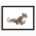 Framed wall art featuring a playful squirrel design, showcased in a sleek black frame with a white mat. Ideal for nature lovers and home decor enthusiasts.