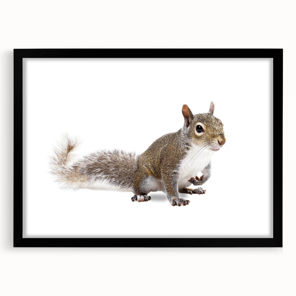 Framed wall art featuring a playful squirrel design, showcased in a sleek black frame with a white mat. Ideal for nature lovers and home decor enthusiasts.