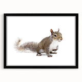 Framed wall art featuring a playful squirrel design, showcased in a sleek black frame with a white mat. Ideal for nature lovers and home decor enthusiasts.