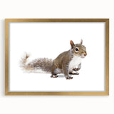 Framed wall art showcasing a stylish squirrel design with a gold mat, perfect for animal lovers and home decor enthusiasts. Ideal for adding a whimsical touch to any room.