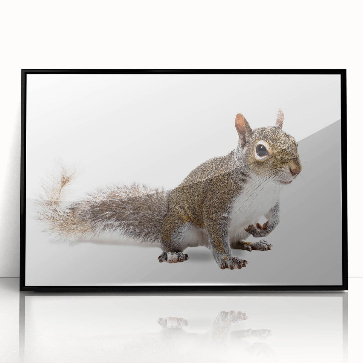 Framed acrylic wall art featuring a whimsical squirrel design on a black background, perfect for animal lovers and home decor enthusiasts. This vibrant piece adds a playful touch to any room.