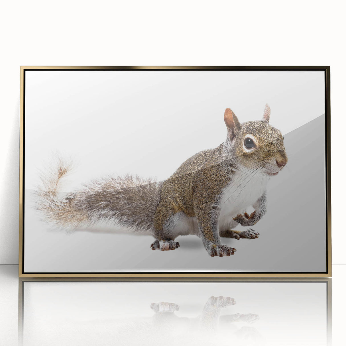 Framed wall art featuring a whimsical squirrel design in a vibrant forest setting, accented with gold details, perfect for animal lovers and home decor enthusiasts.