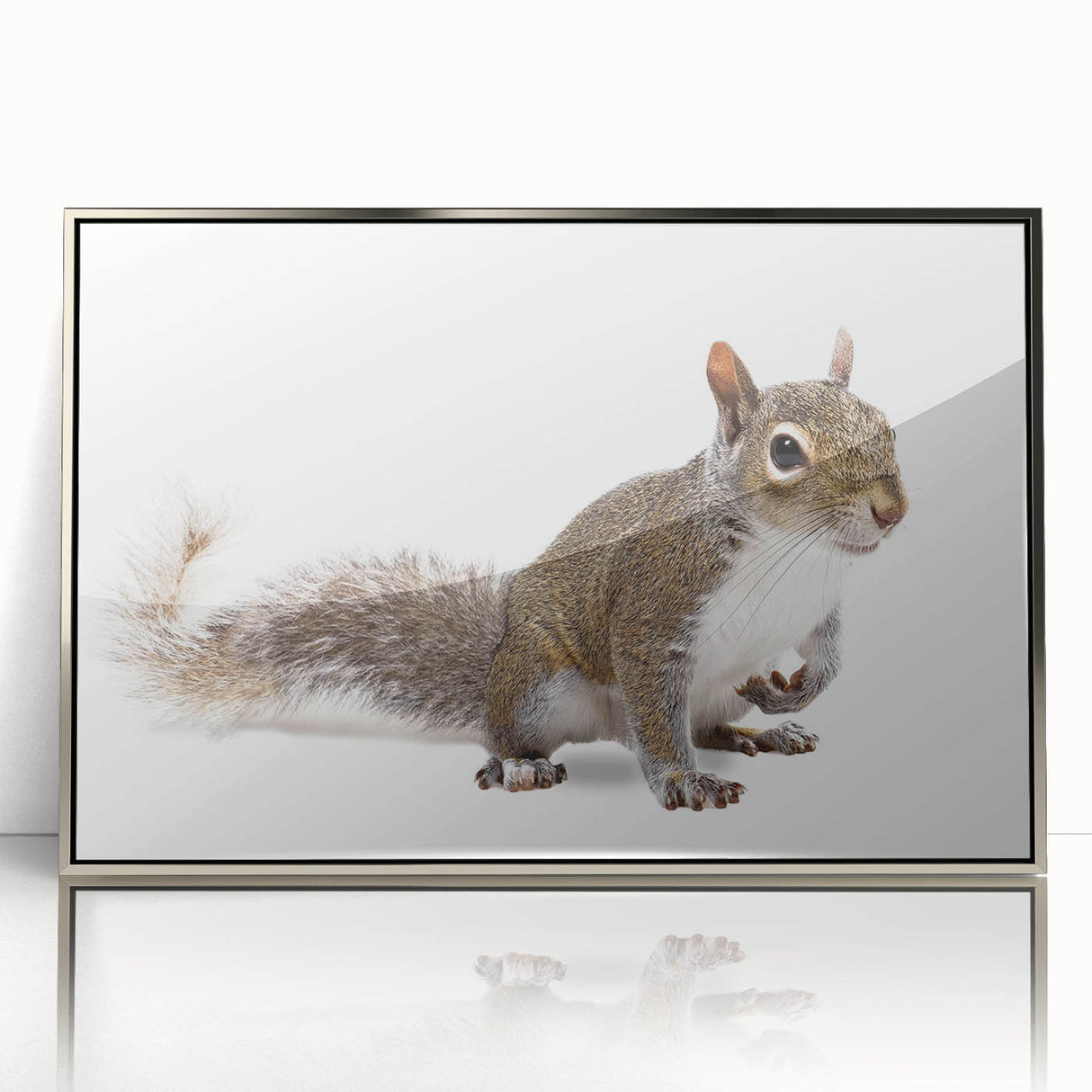 Framed wall art featuring a sleek silver-acrylic design of a squirrel, showcasing intricate details and vibrant colors, perfect for animal lovers and home decor enthusiasts.