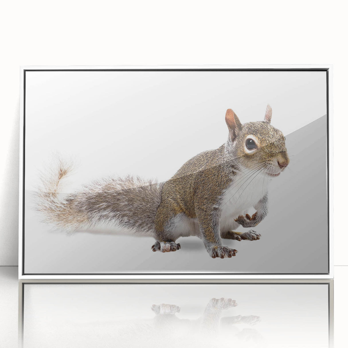Framed wall art featuring a vibrant squirrel design set against a white background, showcasing intricate details and lively colors, perfect for animal lovers.
