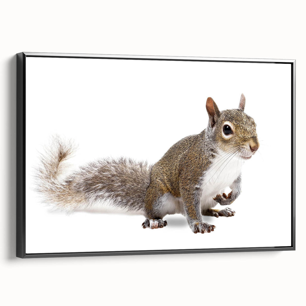 Framed wall art featuring a detailed black and white squirrel design, surrounded by a sleek black frame, ideal for wildlife enthusiasts and modern decor.