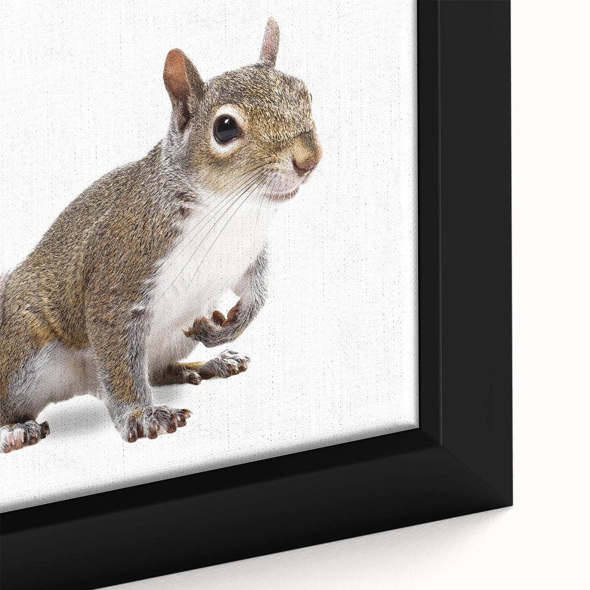 Close-up of a framed canvas wall art featuring a detailed illustration of a squirrel, showcasing vibrant colors and intricate textures, ideal for nature lovers' decor.