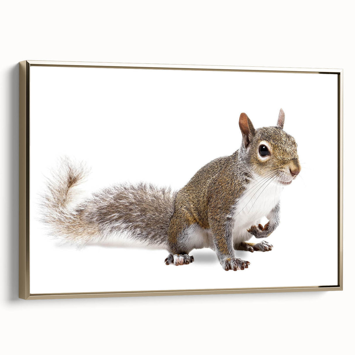 Framed wall art featuring a squirrel design, showcasing intricate details and vibrant colors on a gold background, perfect for animal lovers and home decor enthusiasts.