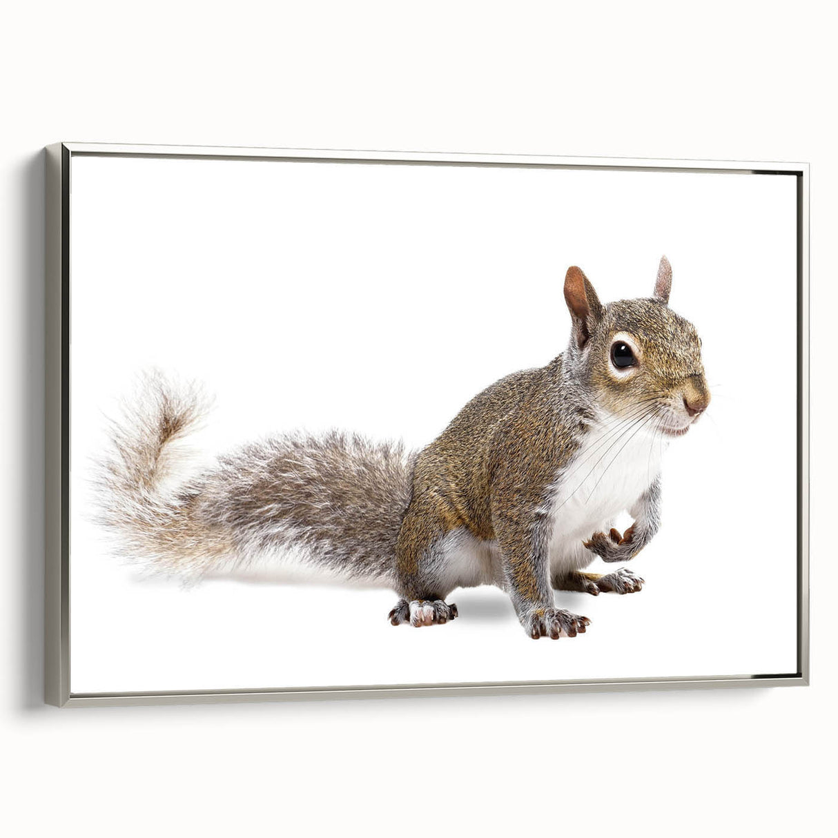 Framed canvas wall art featuring a detailed squirrel design, showcasing intricate textures and vibrant colors, perfect for wildlife enthusiasts and home decor.