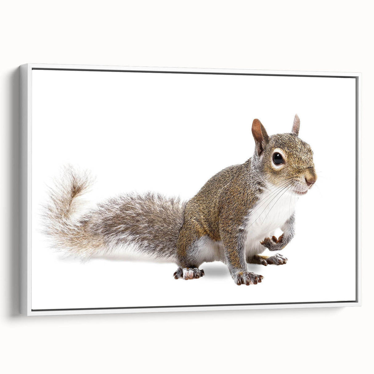 Framed wall art featuring a detailed illustration of a squirrel in a natural setting, showcasing vibrant colors and intricate design, perfect for wildlife enthusiasts.