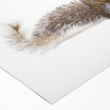 Squirrel-themed wall art design on rolled canvas, showcasing vibrant colors and intricate details, perfect for wildlife enthusiasts and home decor lovers.