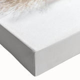 Close-up of a vibrant squirrel design wall art canvas showcasing intricate details and colors, perfect for enhancing home decor and nature-themed spaces.
