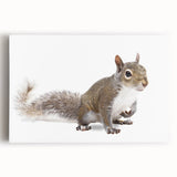 Close-up of a vibrant squirrel wall art design on stretched canvas, showcasing intricate details and colors, ideal for wildlife enthusiasts and home decor.