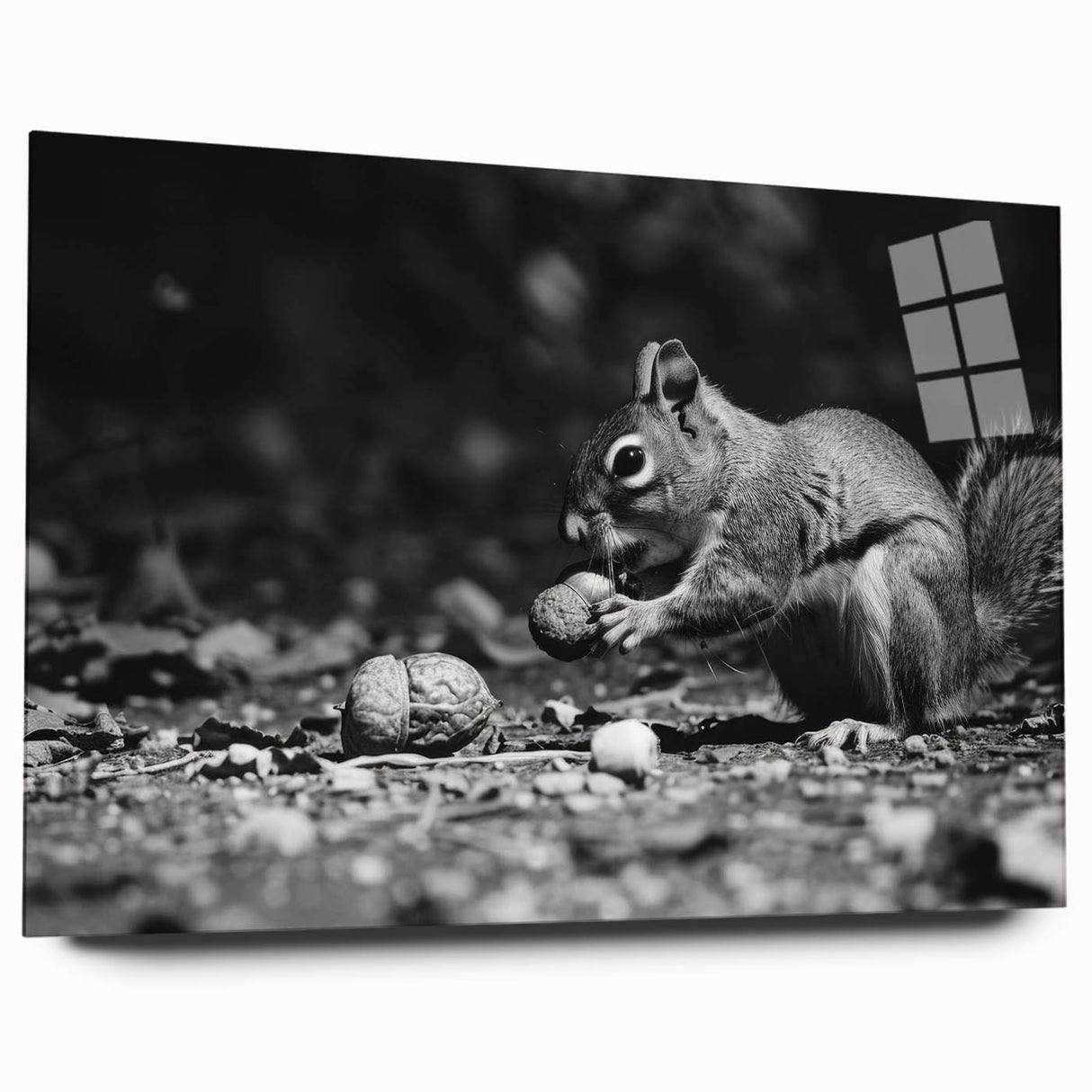 Squirrel wall art design in a glass frame, showcasing a vibrant illustration of a playful squirrel on a tree branch, perfect for nature lovers' decor.