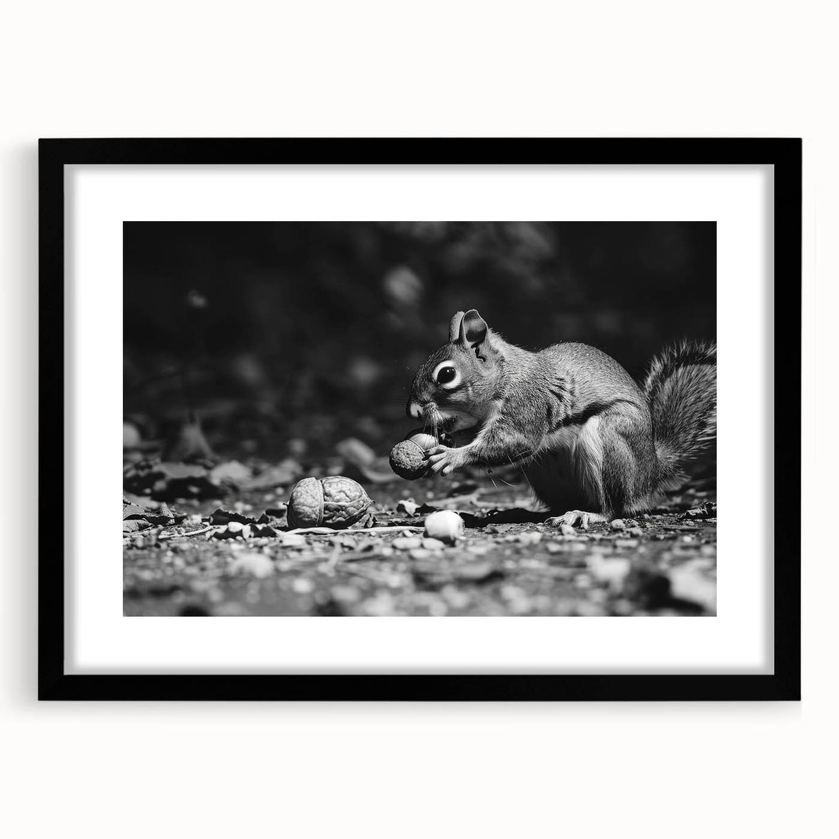 Framed wall art featuring a playful squirrel design against a black mat, showcasing vibrant colors and intricate details, perfect for nature lovers and home decor enthusiasts.
