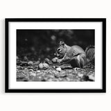 Framed wall art featuring a playful squirrel design against a black mat, showcasing vibrant colors and intricate details, perfect for nature lovers and home decor enthusiasts.