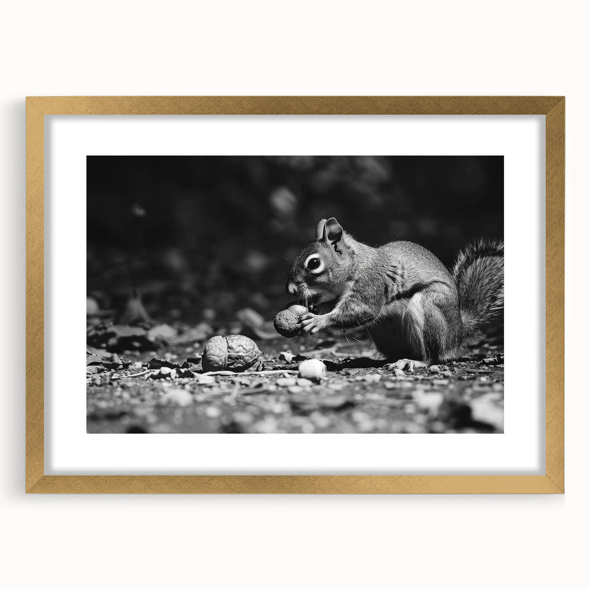 Framed wall art collection featuring a whimsical squirrel design in a gold frame with matting, perfect for animal lovers and home decor enthusiasts.