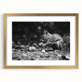 Framed wall art collection featuring a whimsical squirrel design in a gold frame with matting, perfect for animal lovers and home decor enthusiasts.