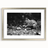 Squirrel-themed wall art collection in a sleek silver frame with a mat, showcasing a vibrant design of playful squirrels, perfect for animal lovers and home decor.