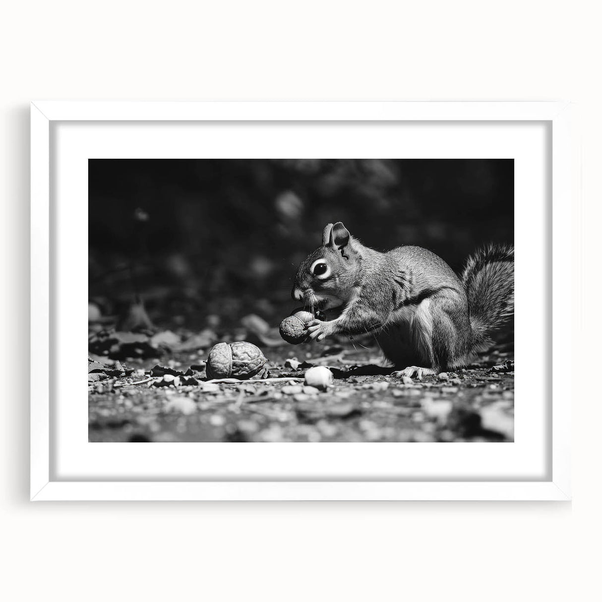 Front view of a framed wall art piece showcasing a whimsical squirrel design, featuring a white mat and sleek frame, perfect for animal-themed home decor.