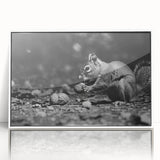Framed wall art featuring a vibrant squirrel design from the 'Animals A Wild Life' collection, displayed in a sleek white frame, perfect for nature lovers’ decor.