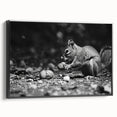 Framed wall art featuring a vibrant squirrel design in a black frame, showcasing intricate details and textures, perfect for animal lovers and home decor enthusiasts.