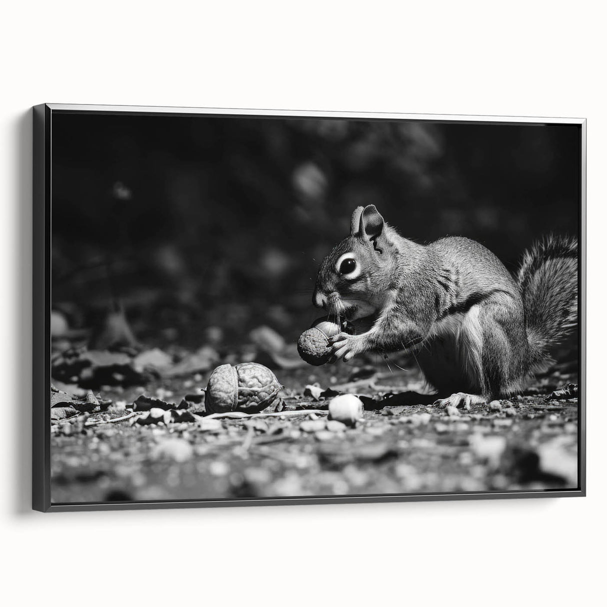 Framed wall art featuring a vibrant squirrel design in a black frame, showcasing intricate details and textures, perfect for animal lovers and home decor enthusiasts.