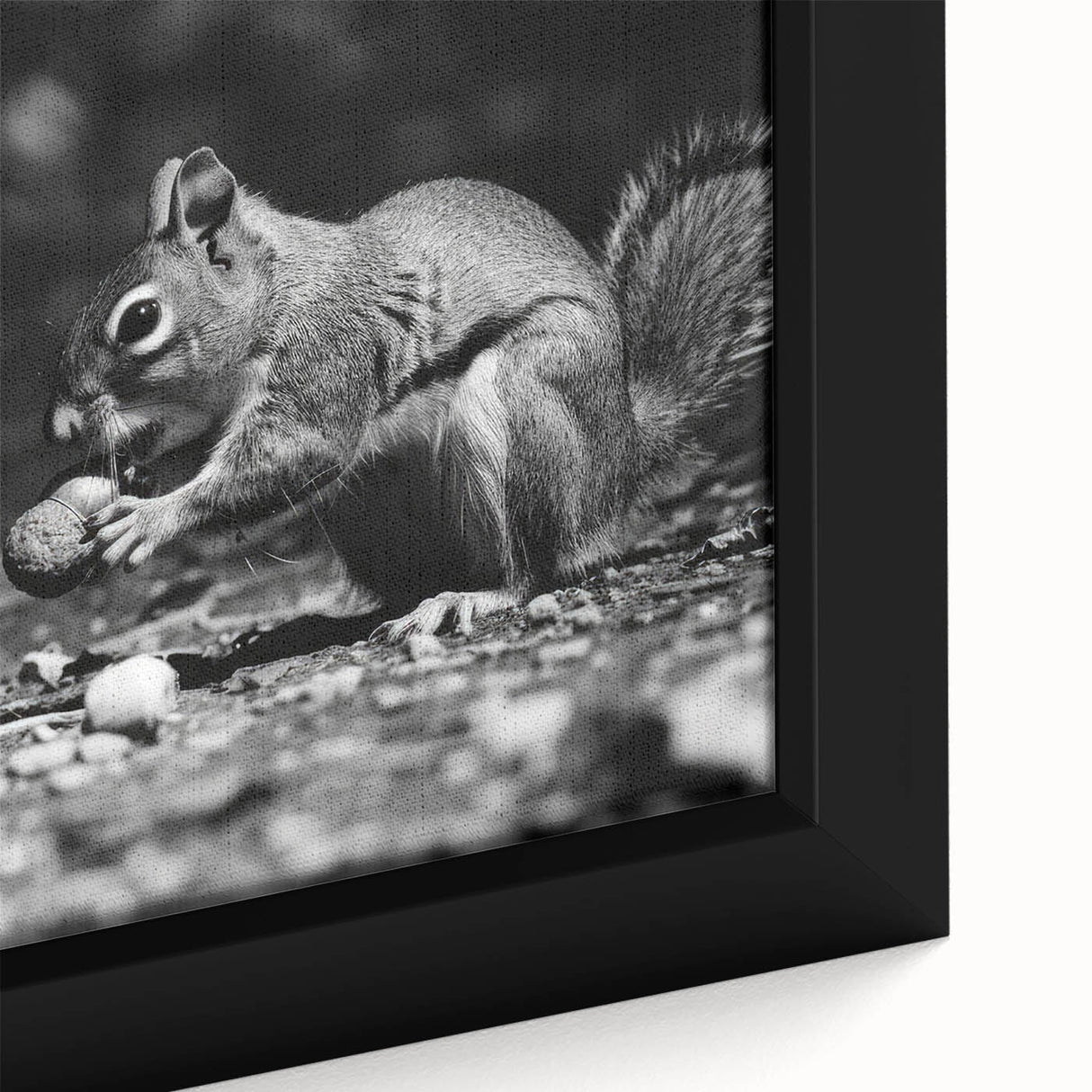 Close-up of a framed canvas wall art depicting a whimsical squirrel design in vibrant colors, showcasing intricate details and textures, perfect for animal lovers.