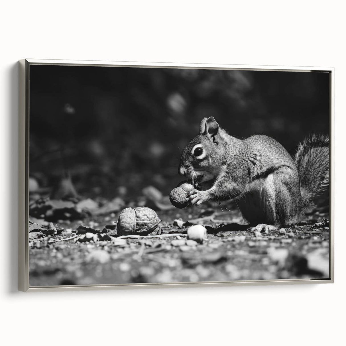 Framed wall art depicting a realistic squirrel design, showcased in a sleek silver frame, ideal for wildlife enthusiasts and home décor lovers.