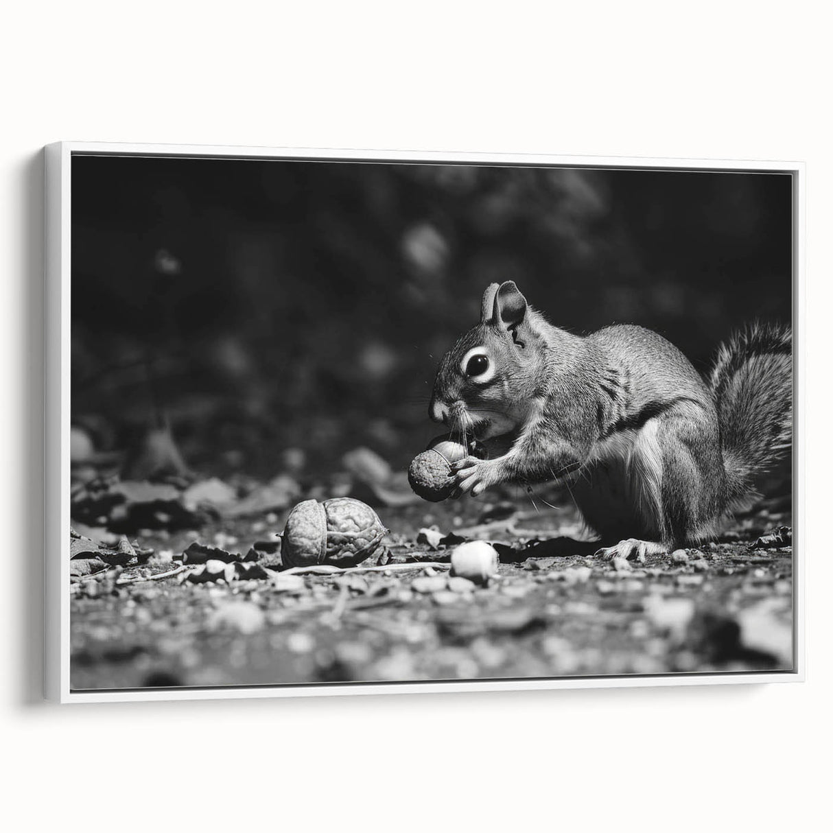 Framed wall art featuring a stylish squirrel design in a white frame, showcasing vibrant colors and intricate details, perfect for animal lovers and home decor enthusiasts.