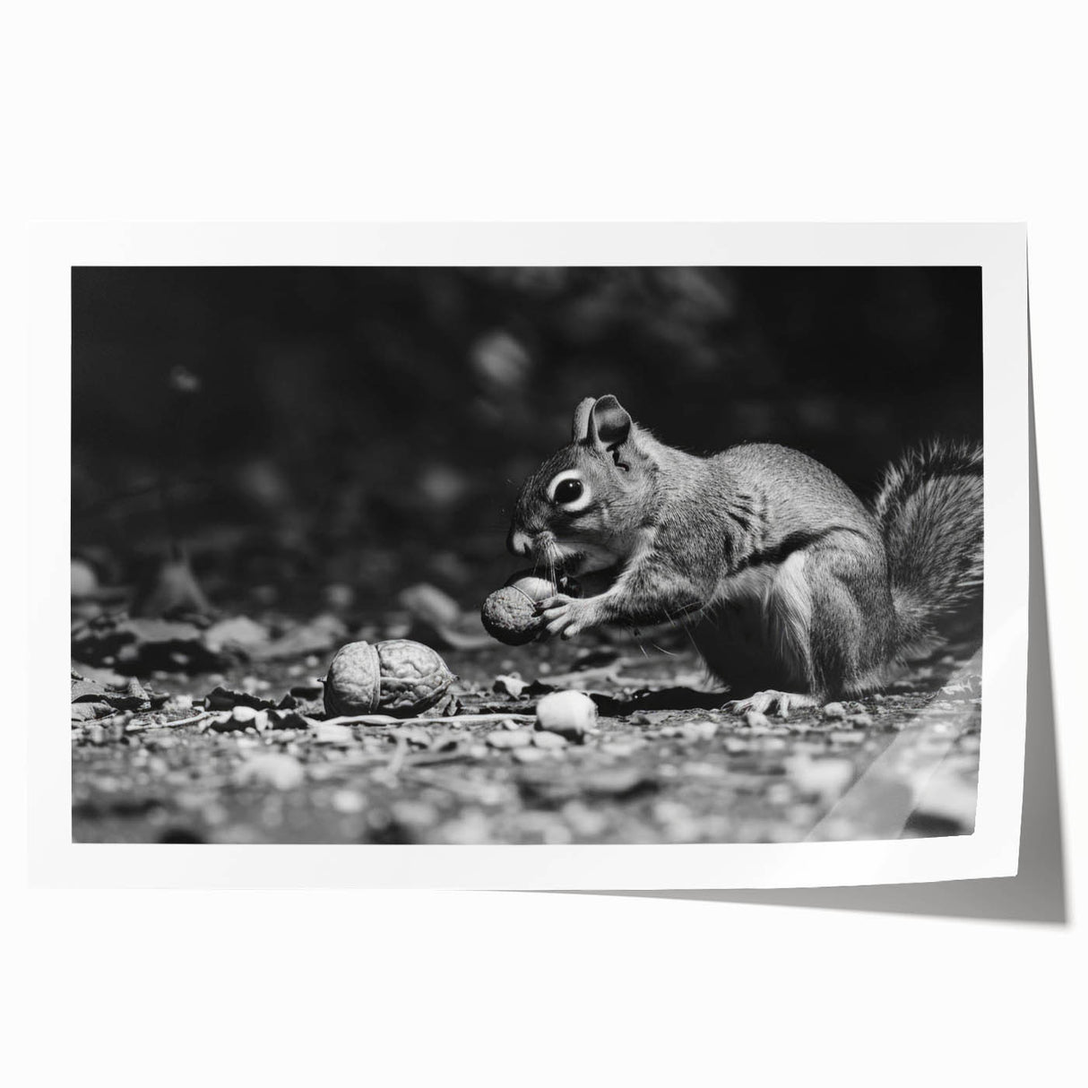 Squirrel wall art print featuring a vibrant illustration of a playful squirrel surrounded by colorful foliage, ideal for nature-themed decor or children's rooms.