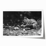 Squirrel wall art print featuring a vibrant illustration of a playful squirrel surrounded by colorful foliage, ideal for nature-themed decor or children's rooms.