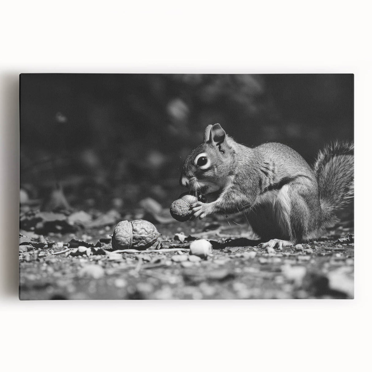 Vibrant stretched canvas wall art showcasing a playful squirrel design, perfect for nature enthusiasts, featuring detailed textures and vivid colors in a contemporary style. Ideal for adding a whimsical touch to home decor.