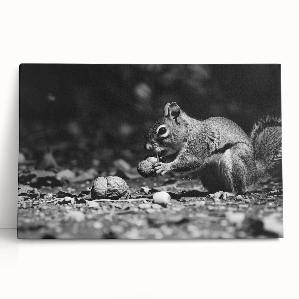 Stretched canvas wall art featuring a vibrant squirrel design, showcasing intricate details and colors, ideal for animal lovers and nature-themed decor.